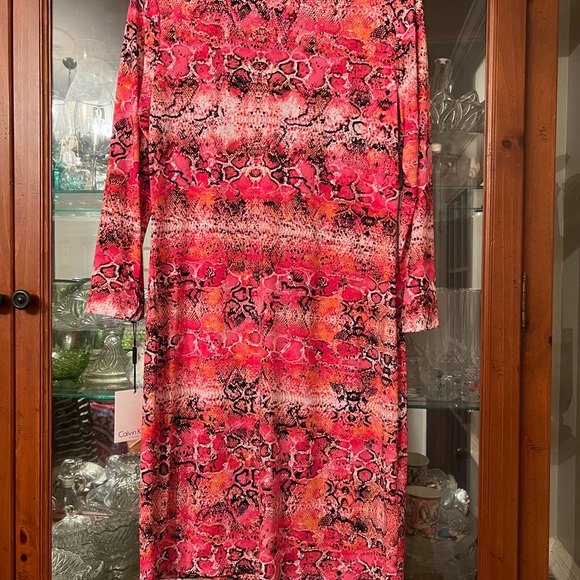 NWT Calvin Klein Women’s Sz 10 dress - Picture 7 of 8